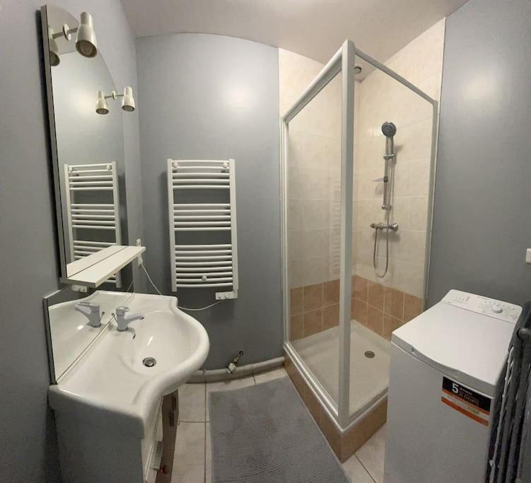 Appartement 1 Chambre Rue Faubourg De Besancon Montbéliard Zewnętrze zdjęcie